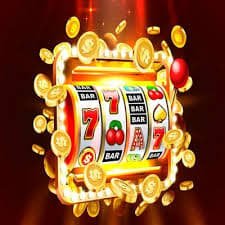 312bet